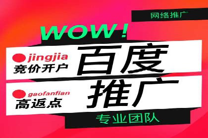 百度竞价排名服务在金融行业的推广策略